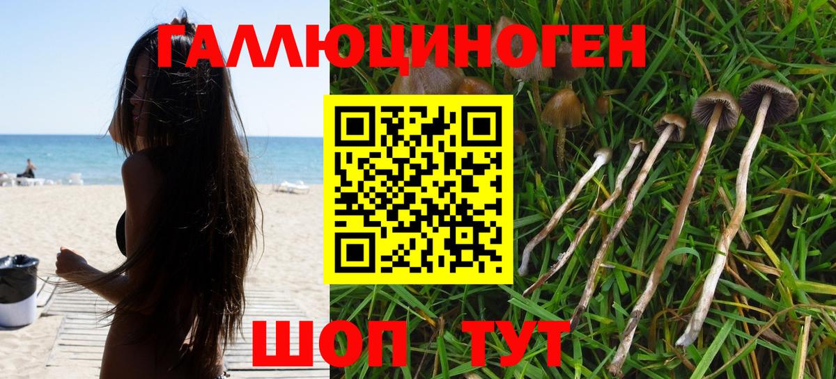 Псилоцибиновые грибы мицелий Алапаевск