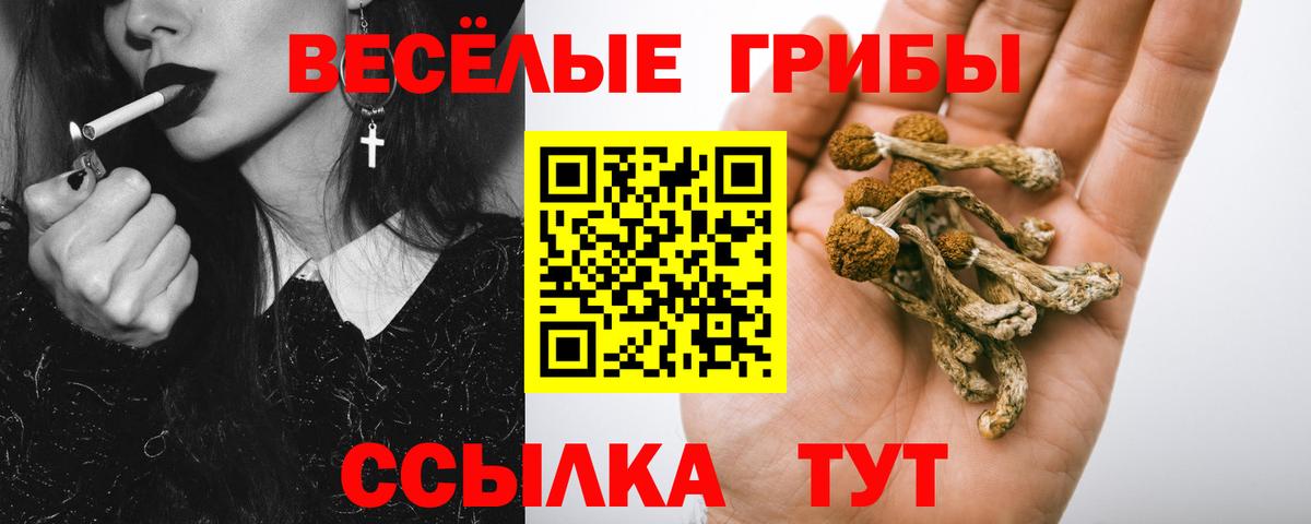 Галлюциногенные грибы мицелий  Вход с VPN  Алапаевск 